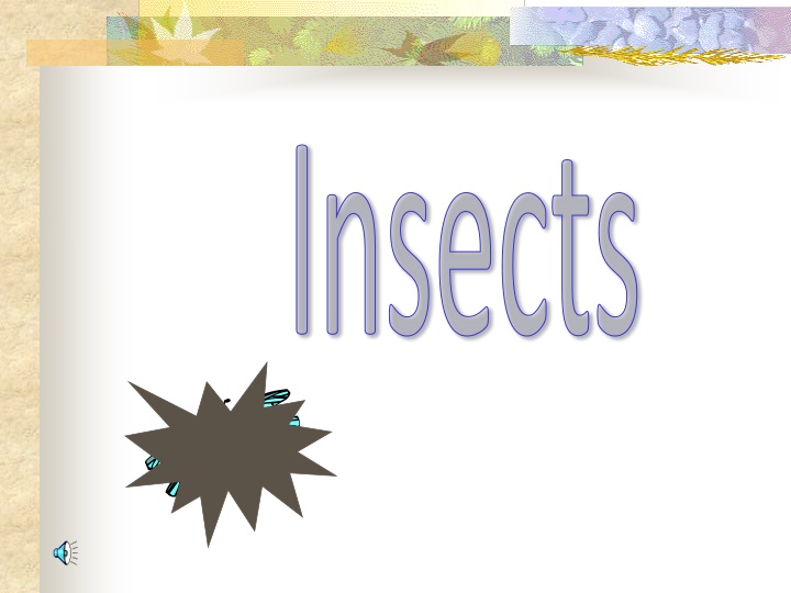 insects