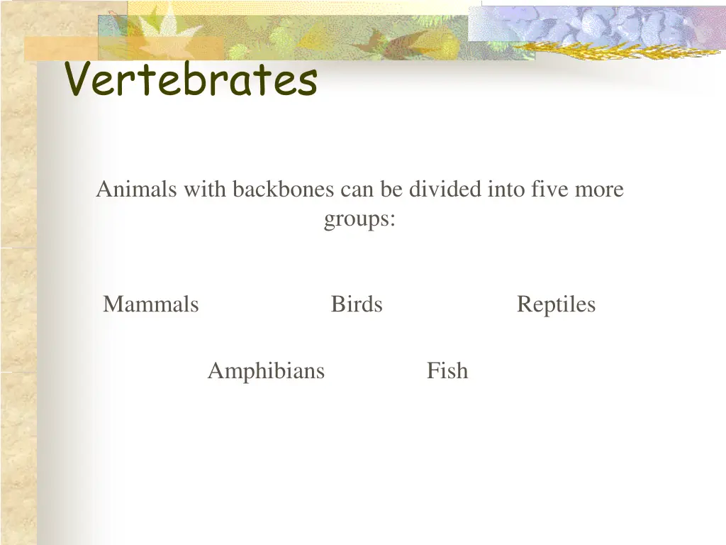 vertebrates