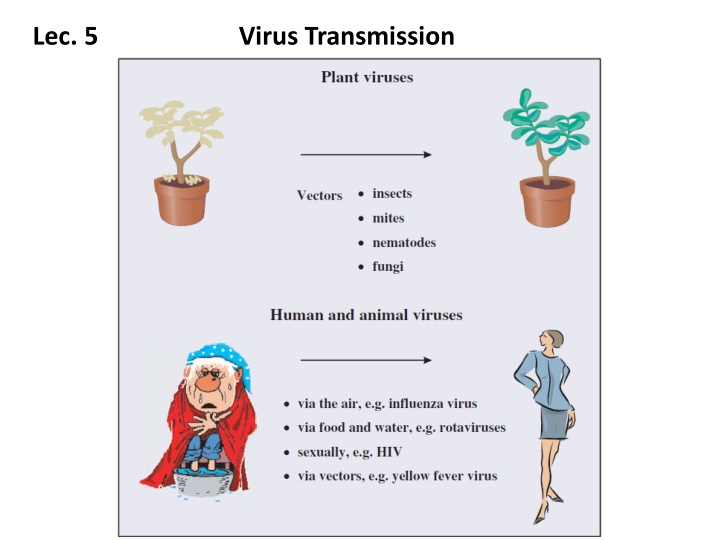 lec 5 virus transmission