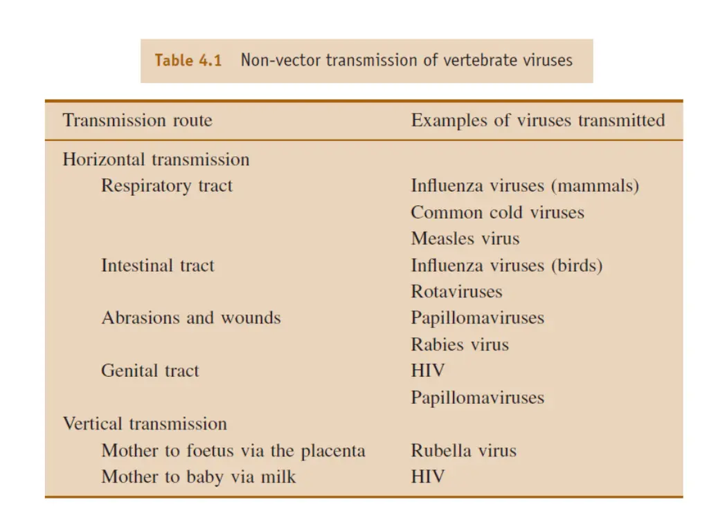 slide10