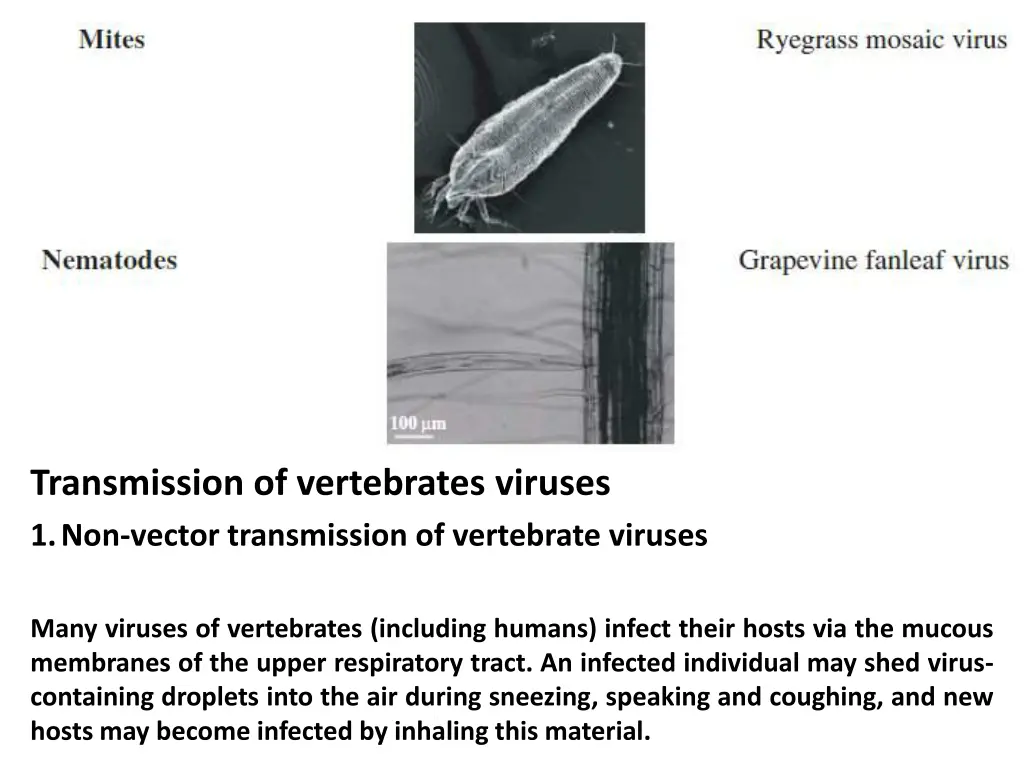 transmission of vertebrates viruses 1 non vector