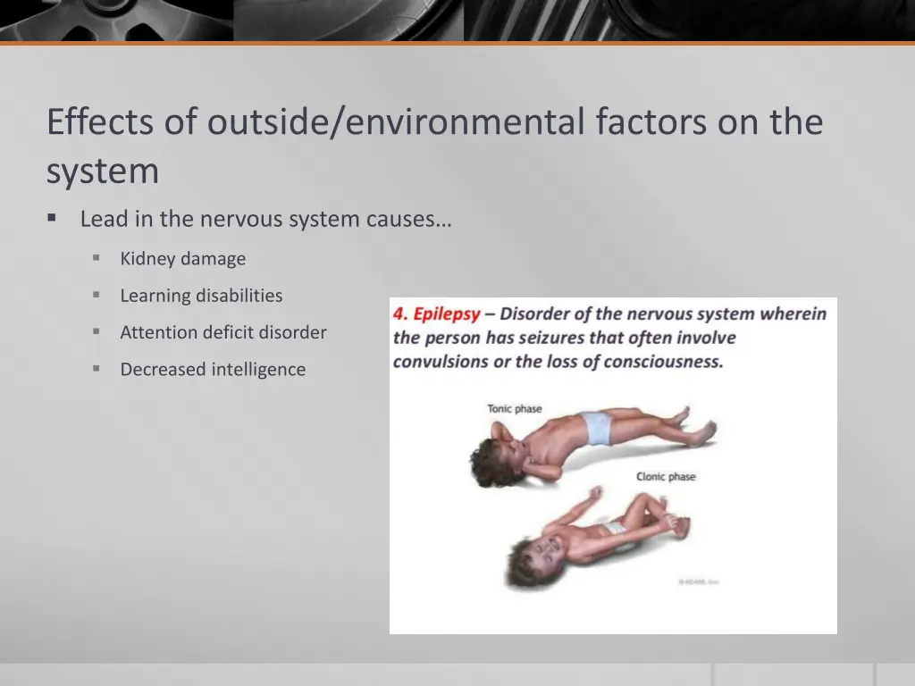 effects of outside environmental factors