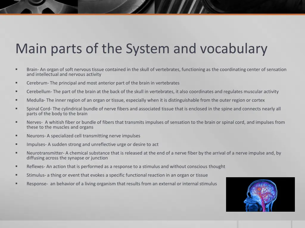 main parts of the system and vocabulary