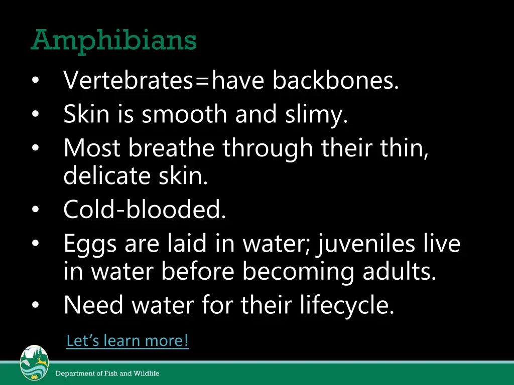 amphibians vertebrates have backbones skin