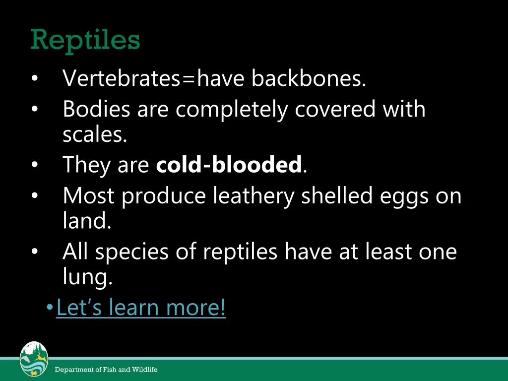 reptiles vertebrates have backbones bodies