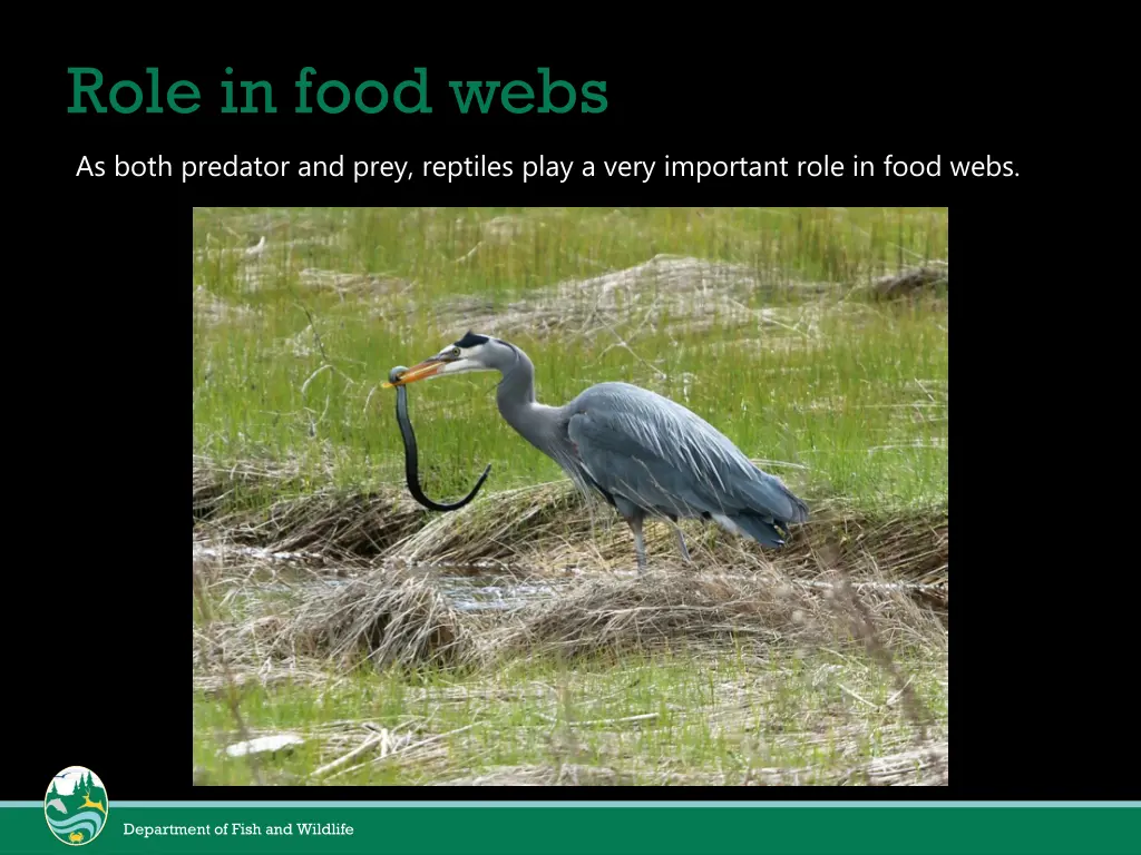 role in food webs