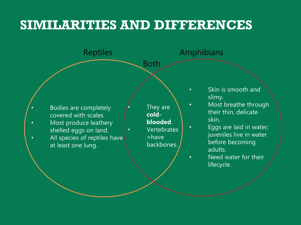 similarities and differences