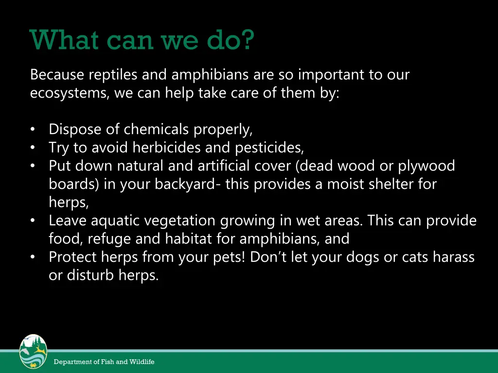 what can we do because reptiles and amphibians