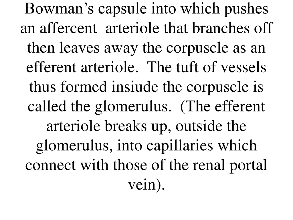 bowman s capsule into which pushes an affercent