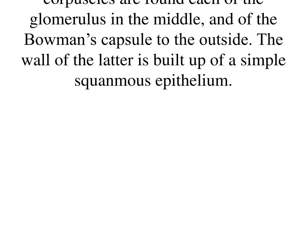 corpuscles are found each of the glomerulus