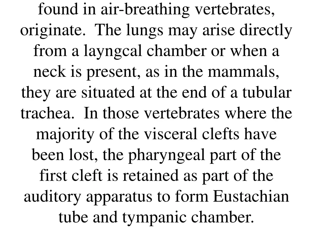 found in air breathing vertebrates originate