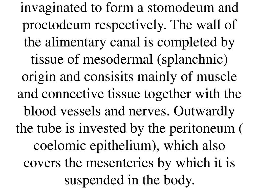 invaginated to form a stomodeum and proctodeum