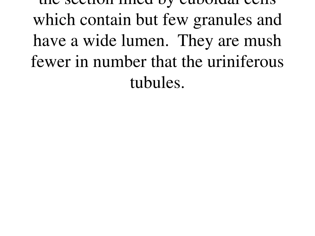 the section lined by cuboidal cells which contain