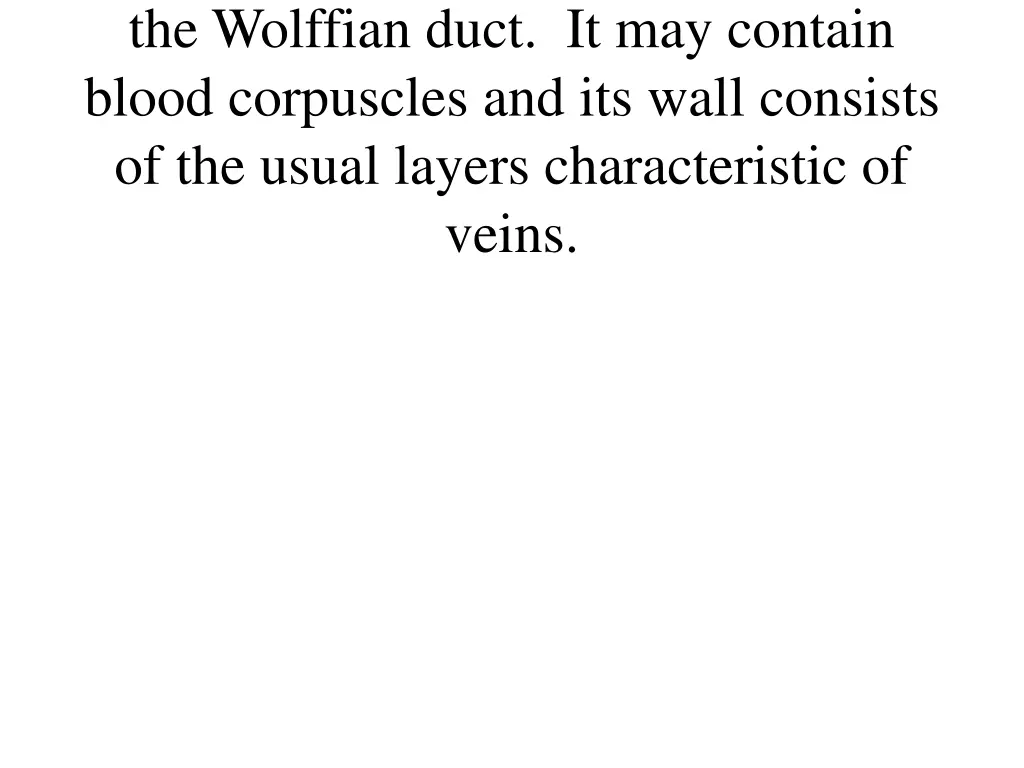 the wolffian duct it may contain blood corpuscles