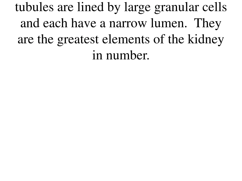 tubules are lined by large granular cells