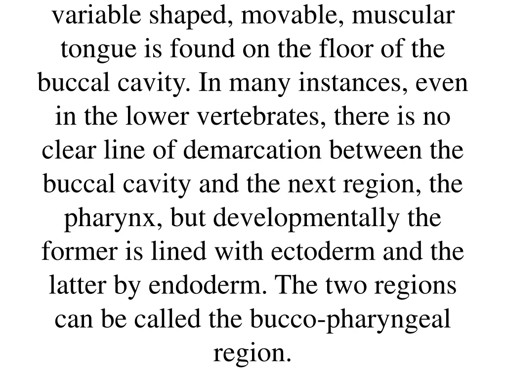 variable shaped movable muscular tongue is found