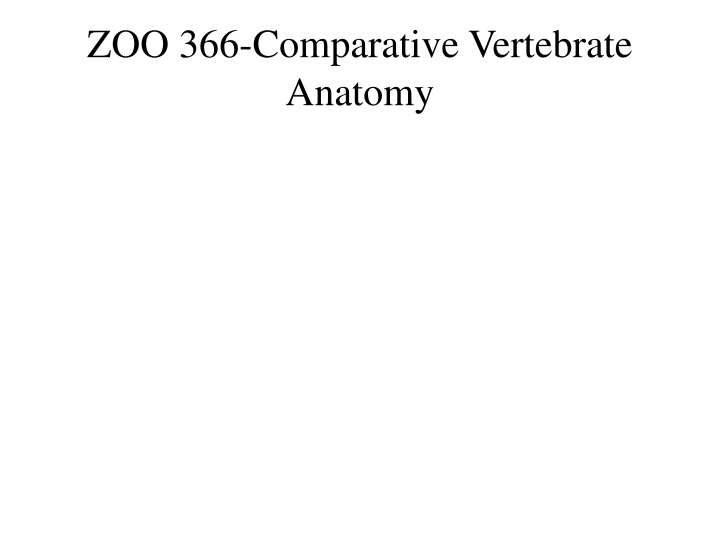 zoo 366 comparative vertebrate anatomy