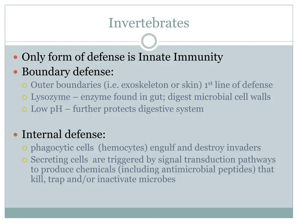 invertebrates