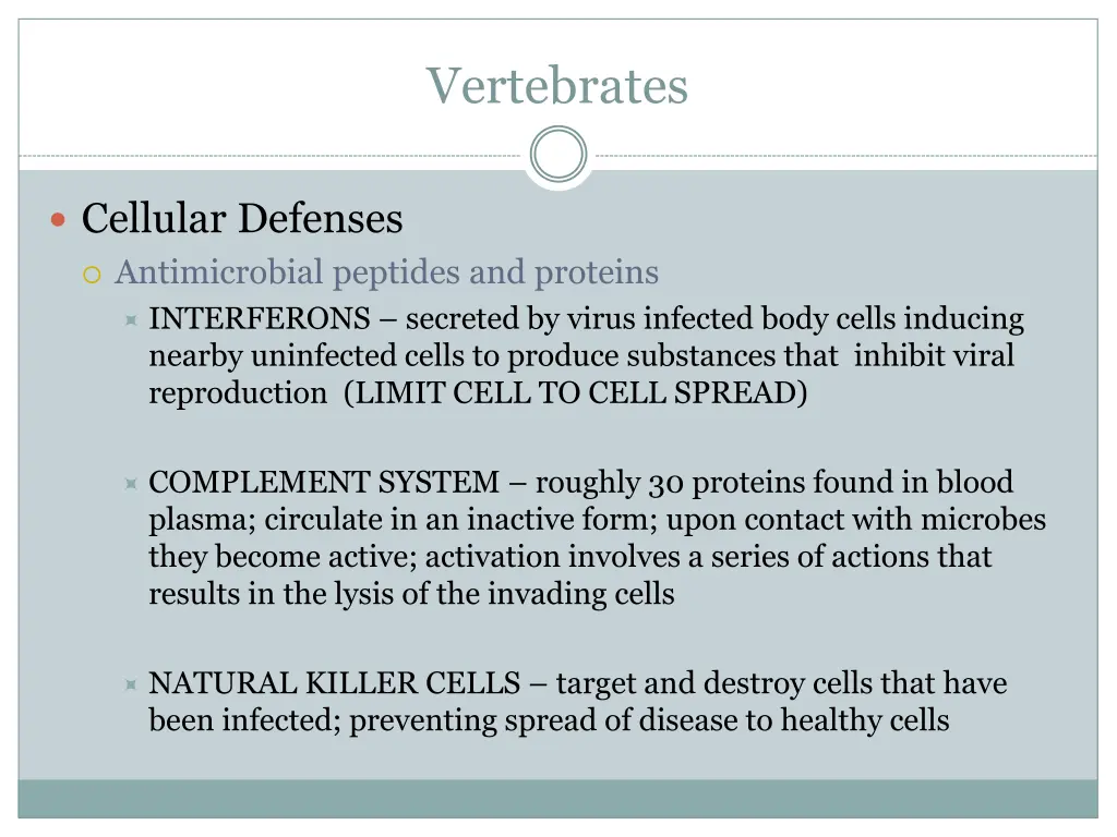 vertebrates 2