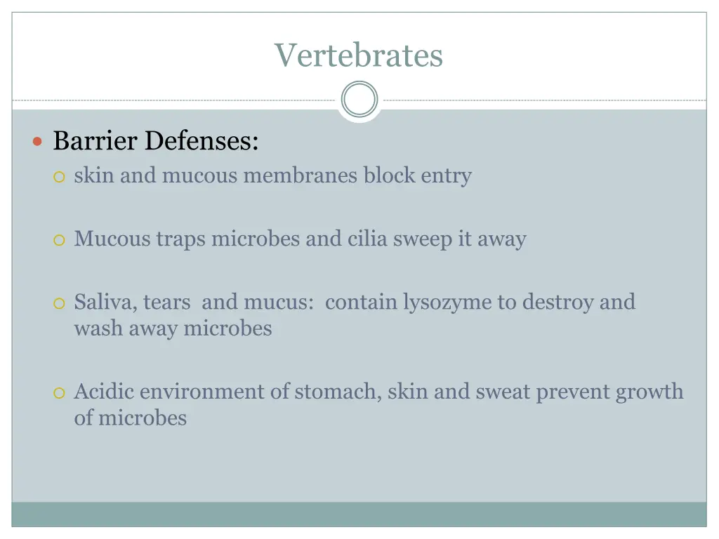 vertebrates