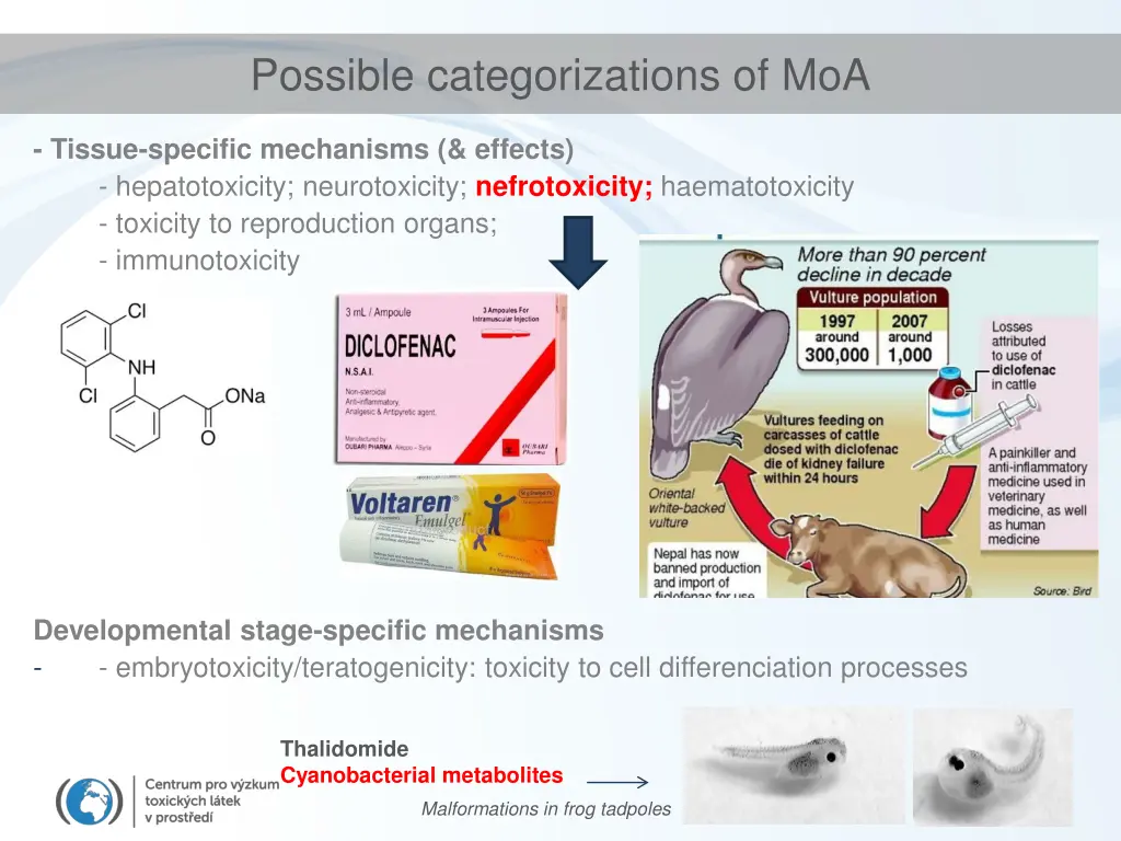 possible categorizations of moa 2