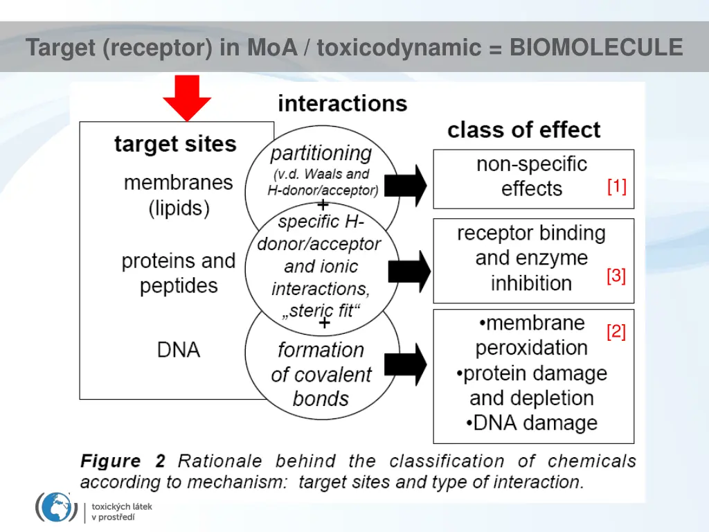 target receptor in moa toxicodynamic biomolecule