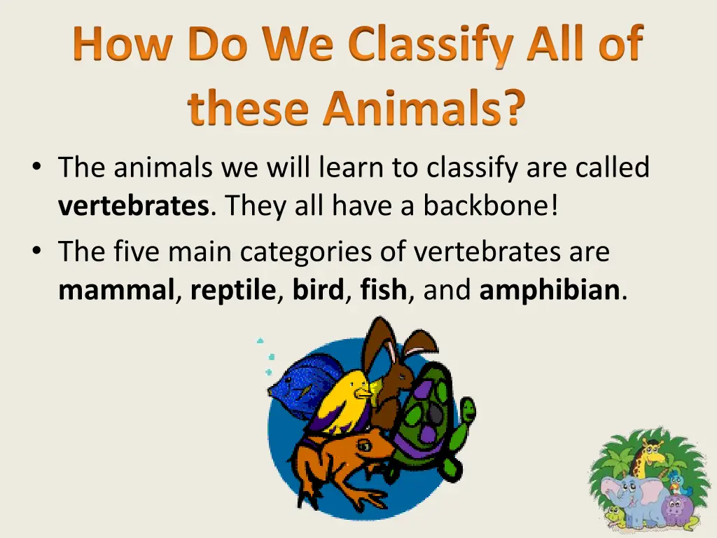 how do we classify all of these animals