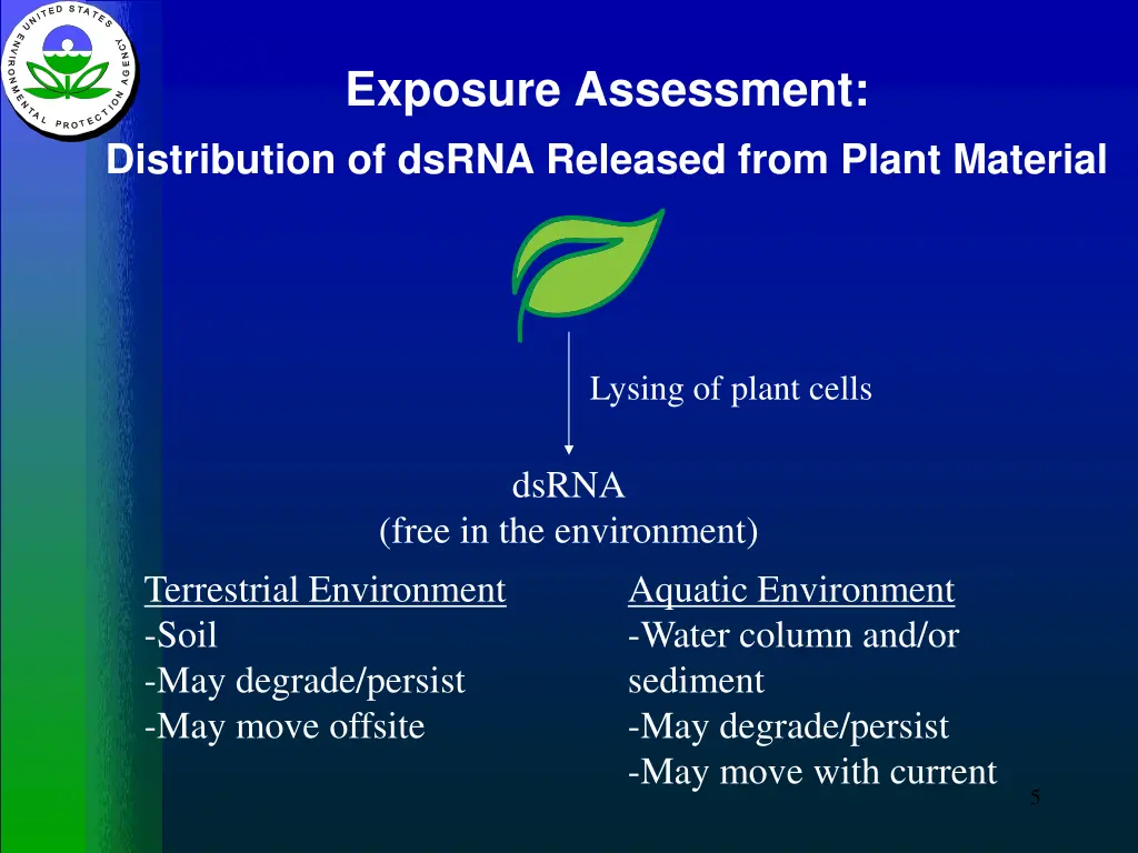 exposure assessment distribution of dsrna