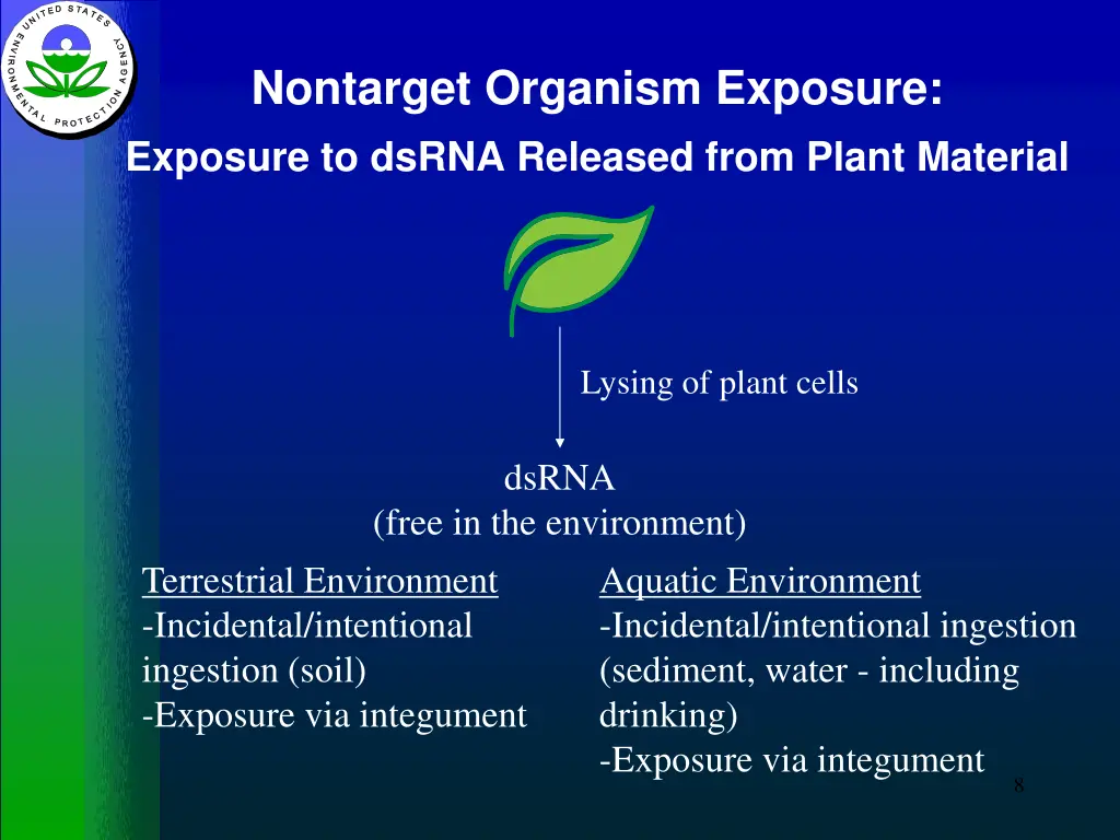 nontarget organism exposure exposure to dsrna