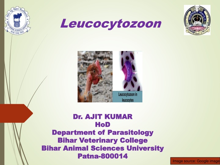 bihar animal sciences university