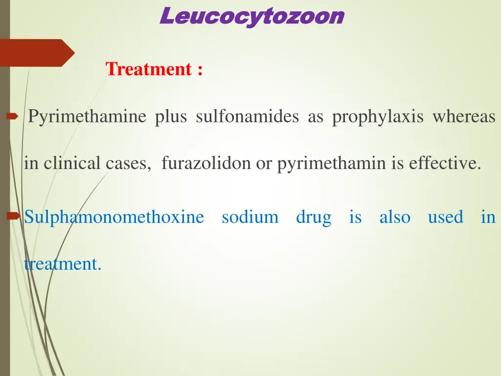 leucocytozoon leucocytozoon 5