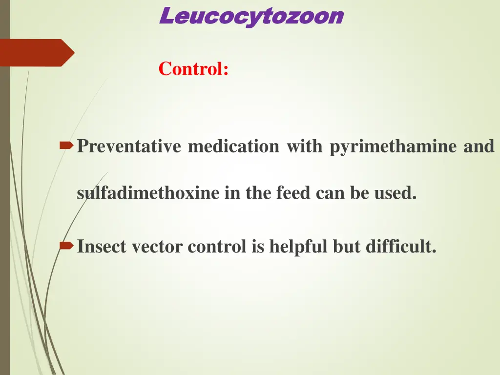 leucocytozoon leucocytozoon 6