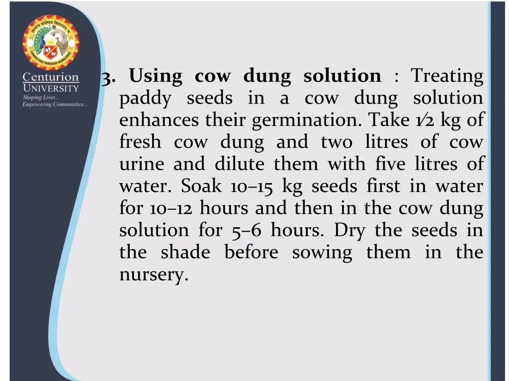 3 using cow dung solution treating paddy seeds