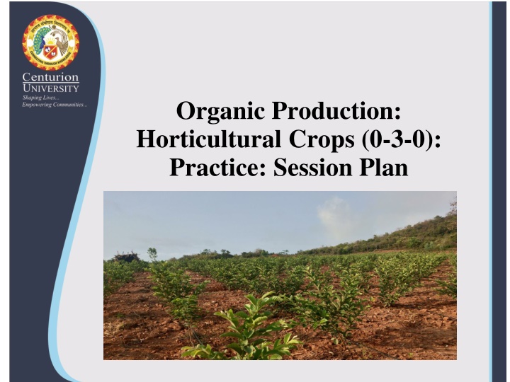 organic production horticultural crops