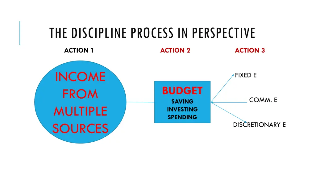 the discipline process in perspective