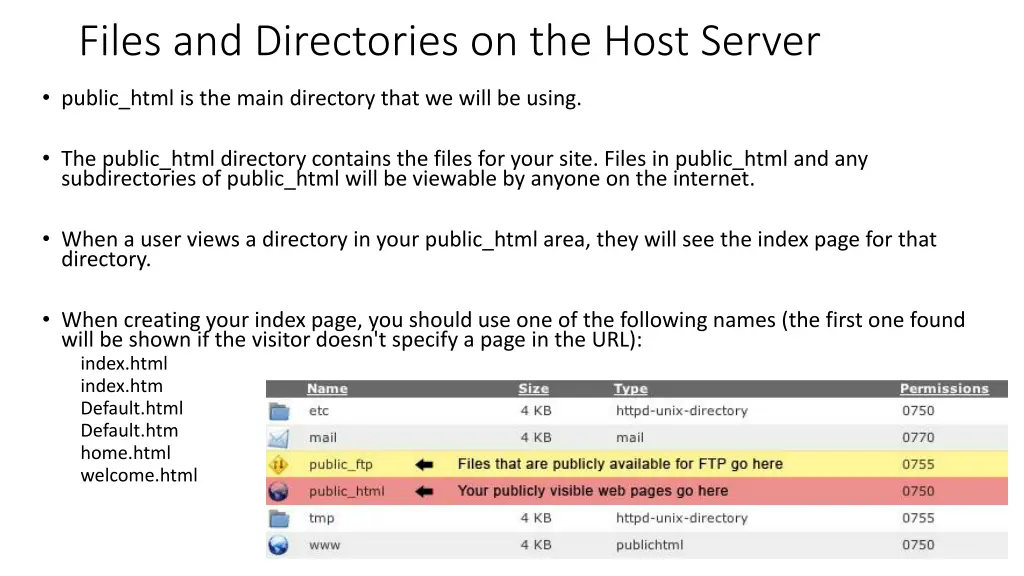 files and directories on the host server