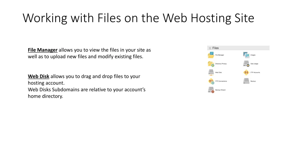 working with files on the web hosting site