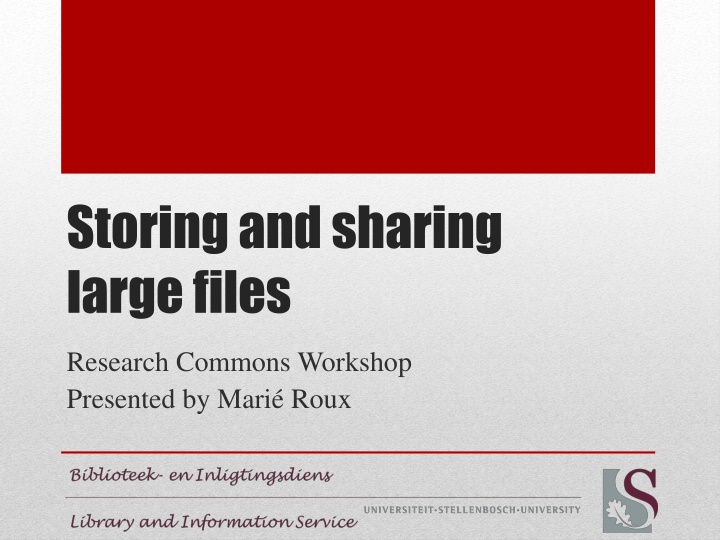 storing and sharing large files