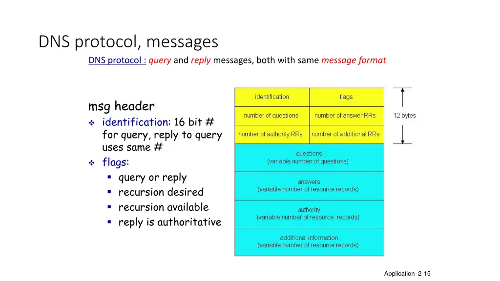 dns protocol messages dns protocol query