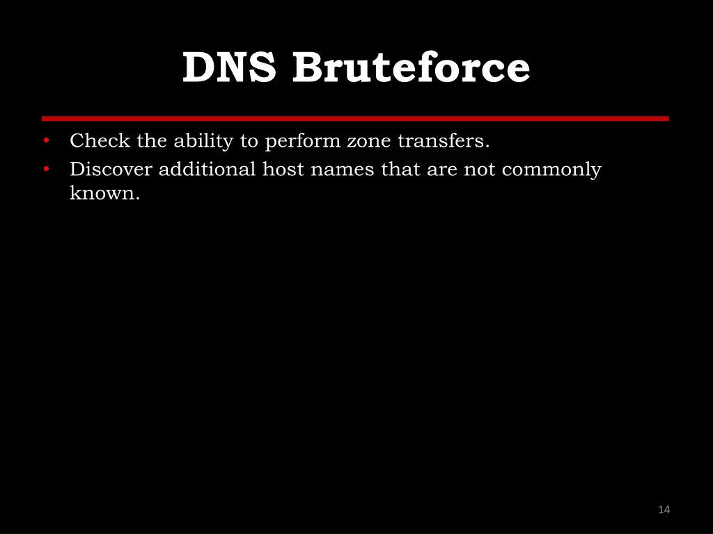 dns bruteforce