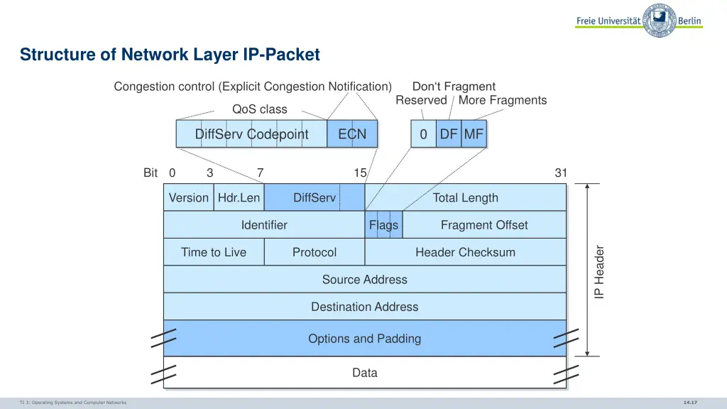 structure of network layer ip packet