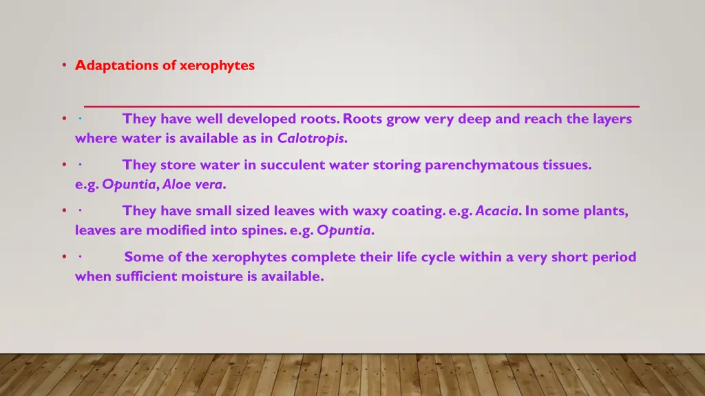 adaptations of xerophytes