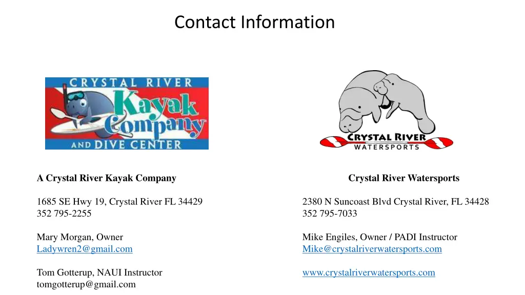 contact information