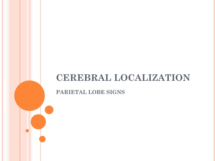 cerebral localization