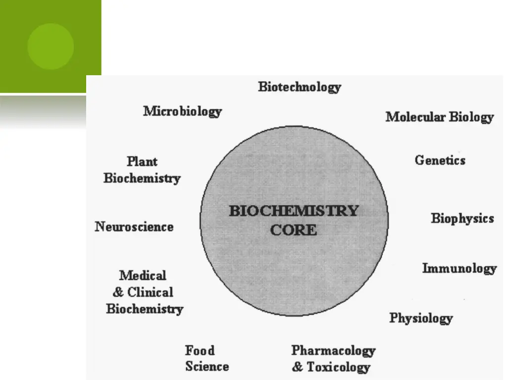 slide5