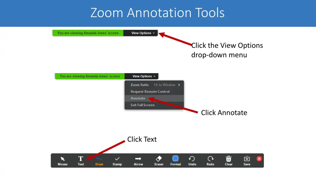 zoom annotation tools