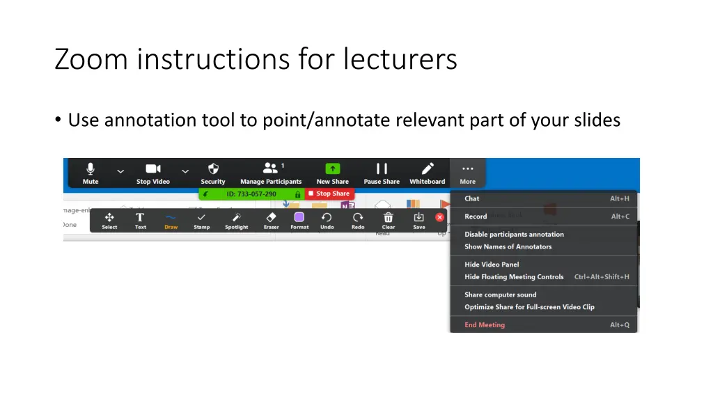 zoom instructions for lecturers 2