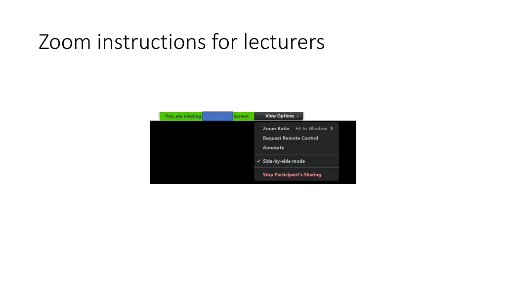 zoom instructions for lecturers 3