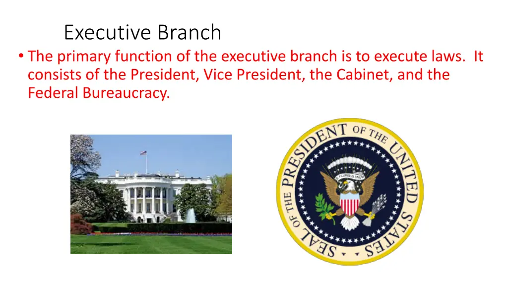 executive branch the primary function