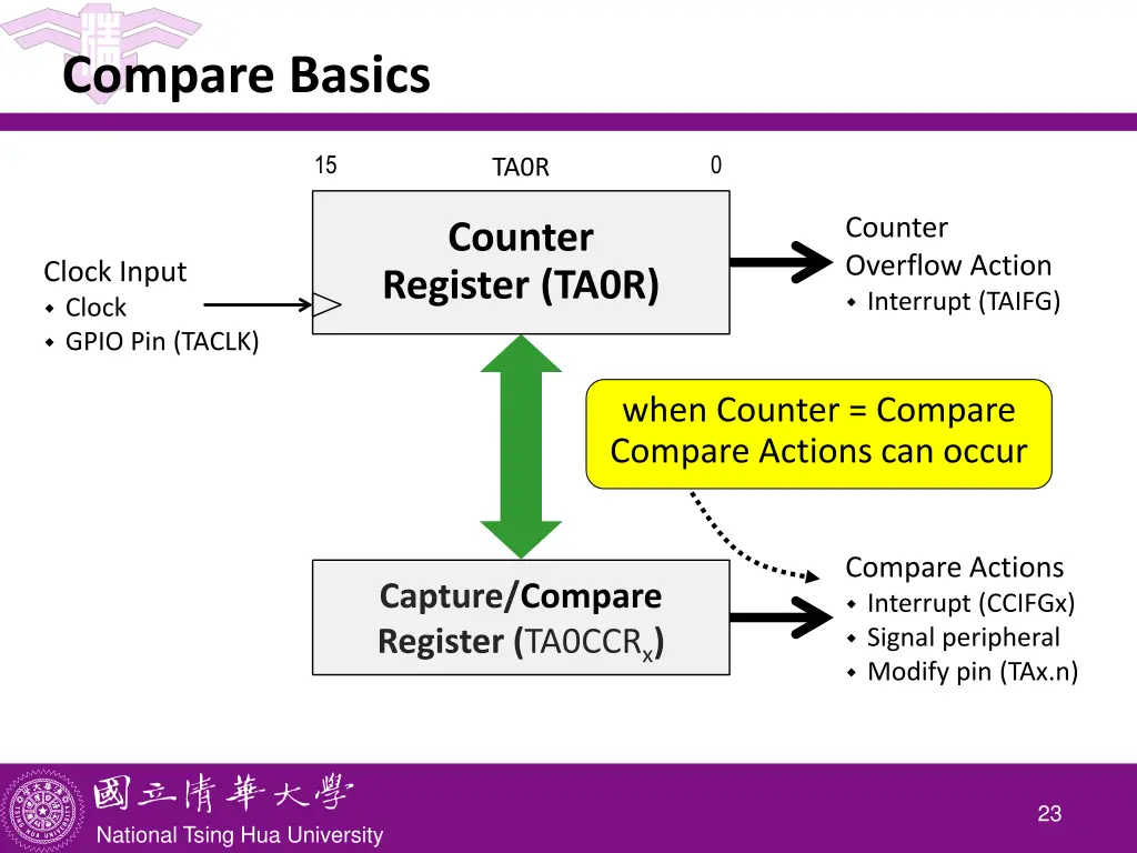 compare basics